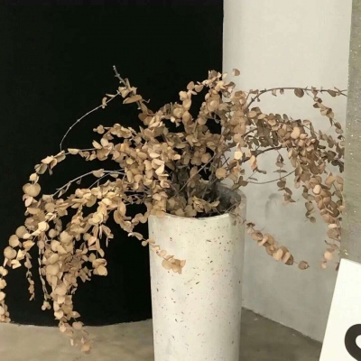 Furry插画细节提升兽圈群